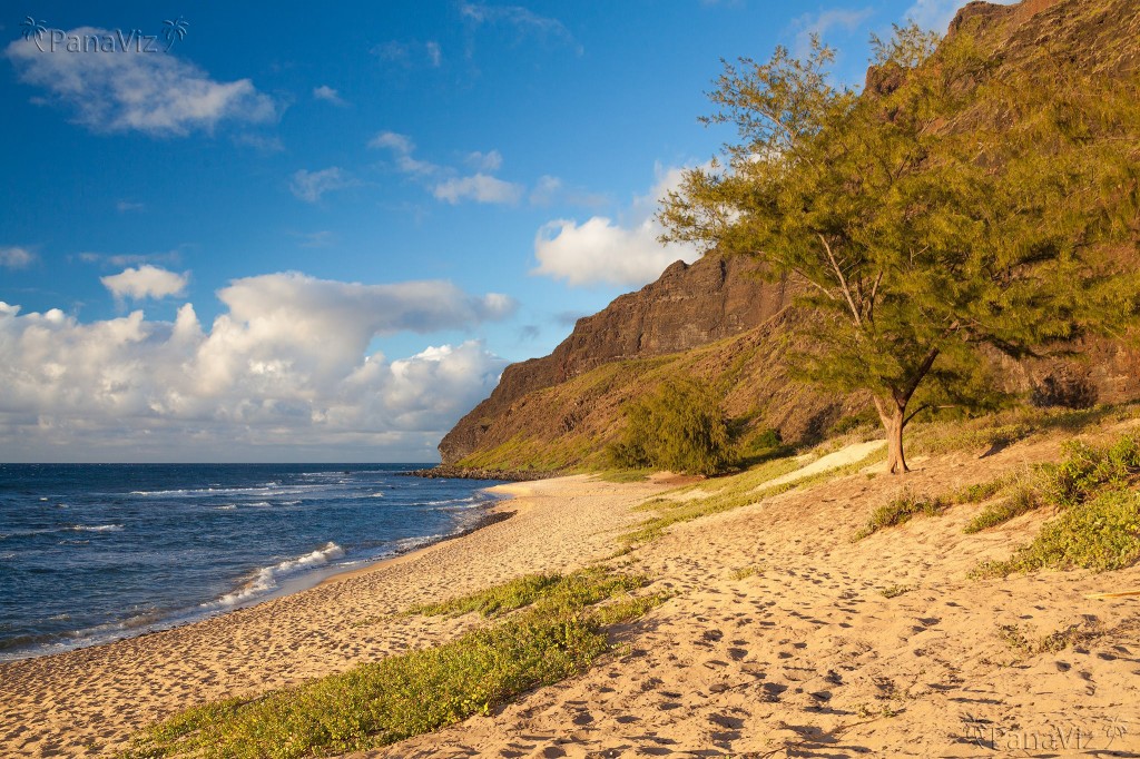 Napali Coast Photography