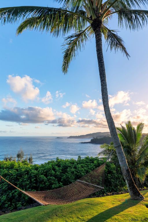 kohola point anini vista