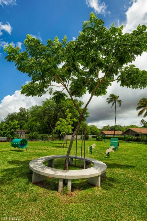 Kiddie play area.