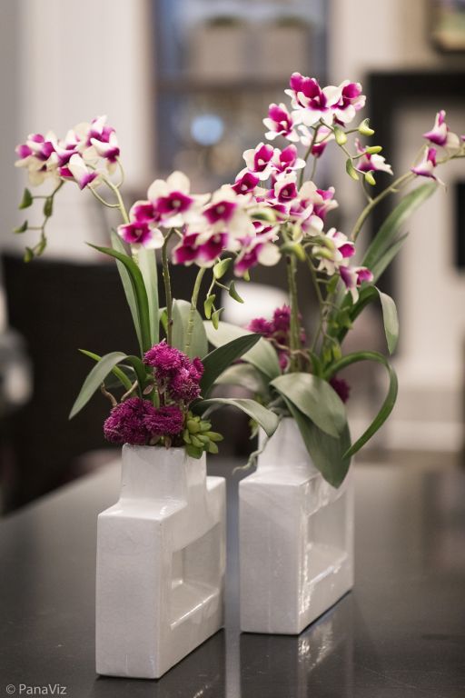 Photography of Senior Living Community by panaviz