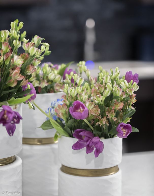 Photography of Senior Living Community by panaviz
