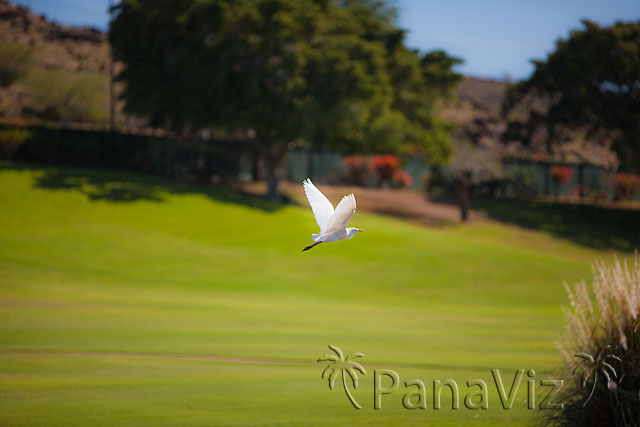 Golf at KoOlina