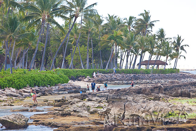 et Beach at KoOlina