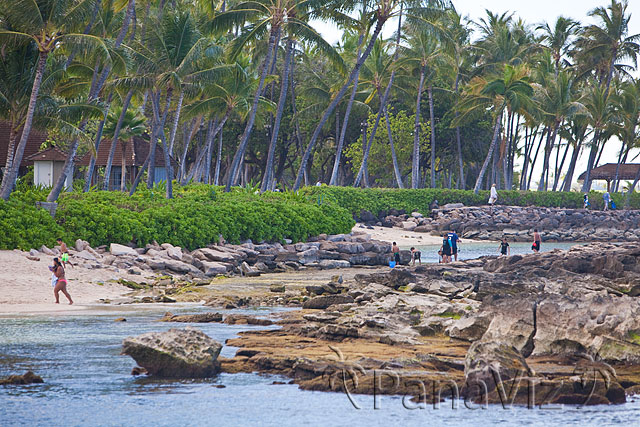 KoOlina Beach