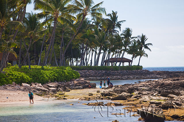 Ktural KoOlina Beach 