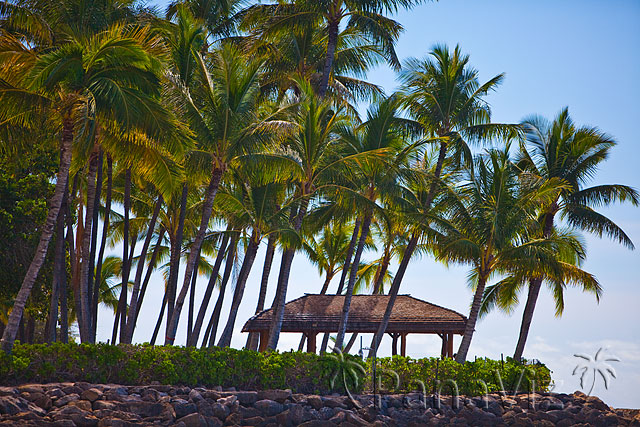 KoOlina Resort