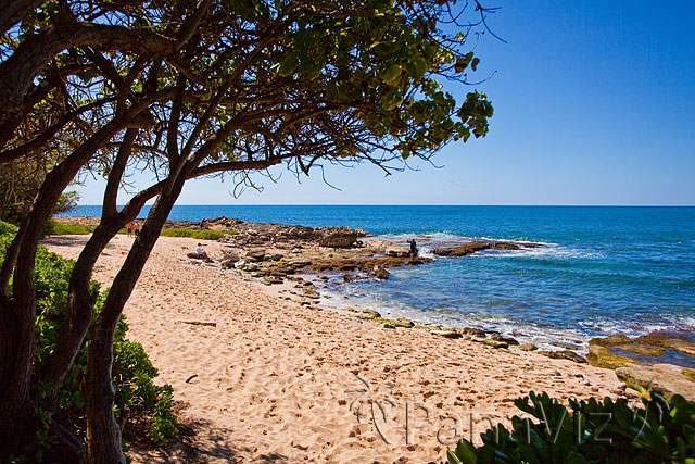 Hawaii Beach