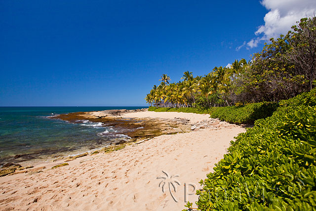 Hawaii Natural Beach