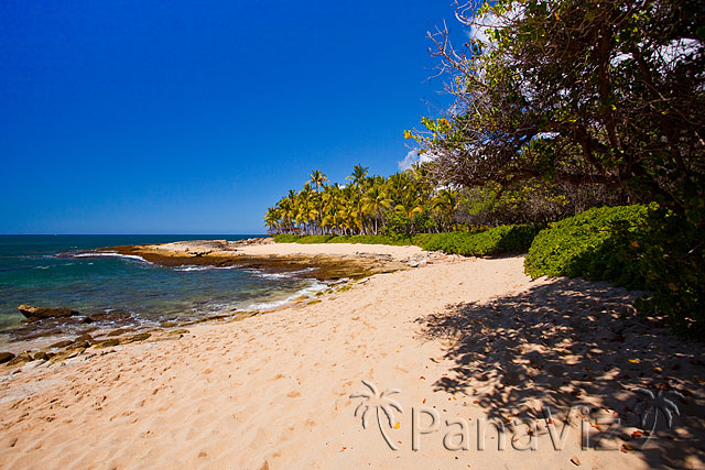 Hawaii Natural Beach