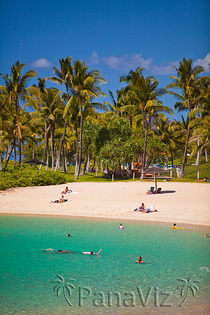 Snorkelling in KoOlina Lagoon