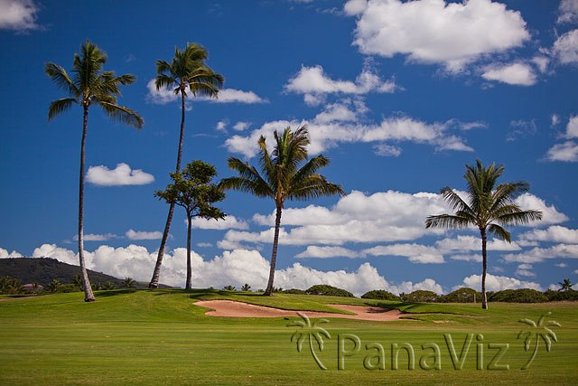 Golf at KoOlina Golf Club