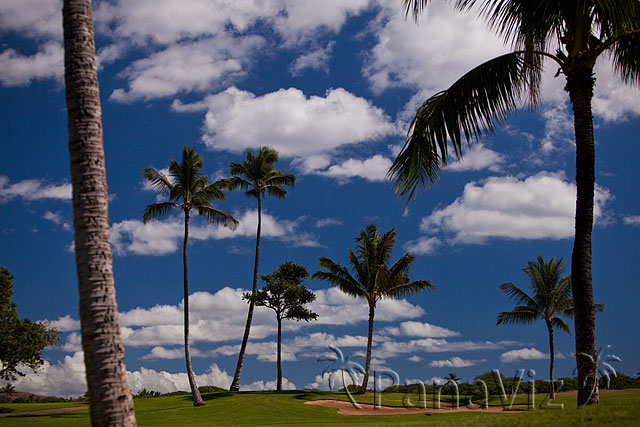 Golf at KoOlina Golf Club