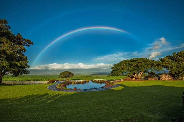 Maui real estate photographer