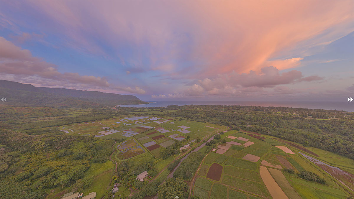 Hanalei Valley