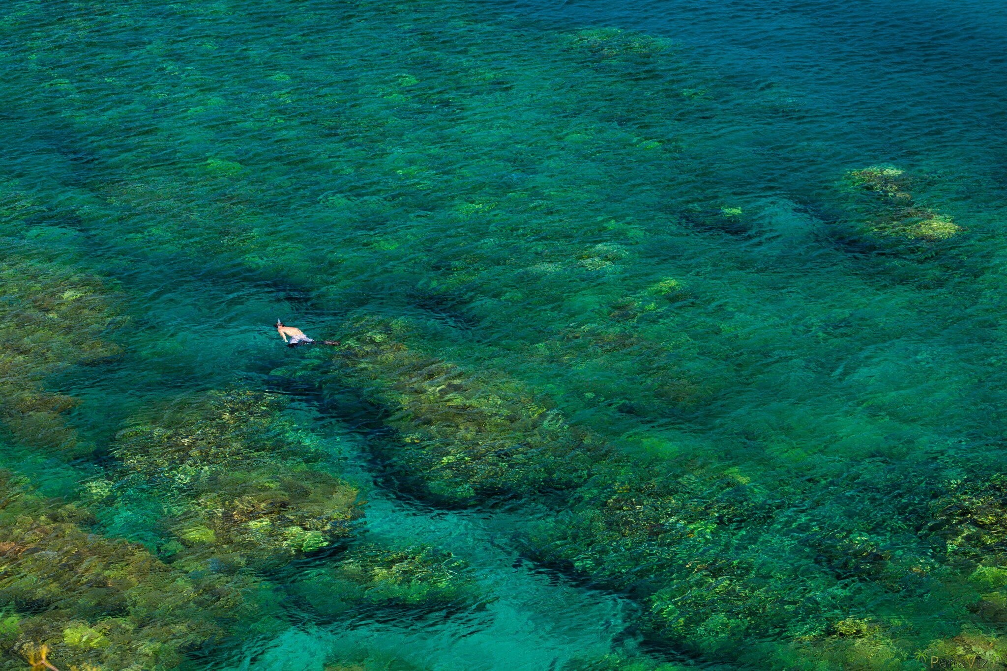 Snorkeling on Maui