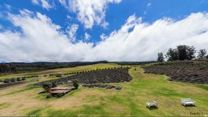 Kula Lavender Farms Maui Panorama